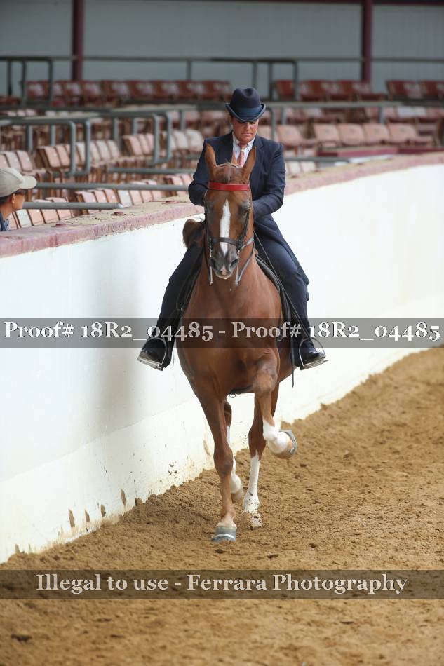 Proof 18R2_04485