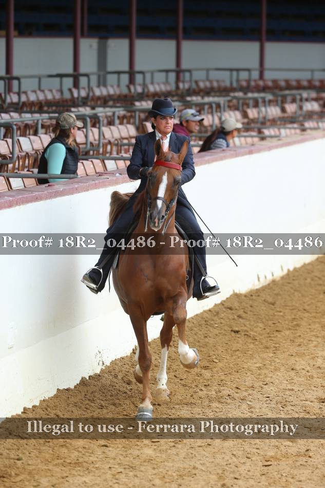 Proof 18R2_04486