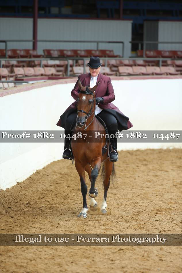 Proof 18R2_04487
