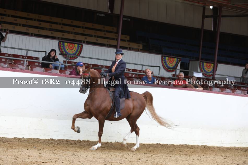 Proof 18R2_04488