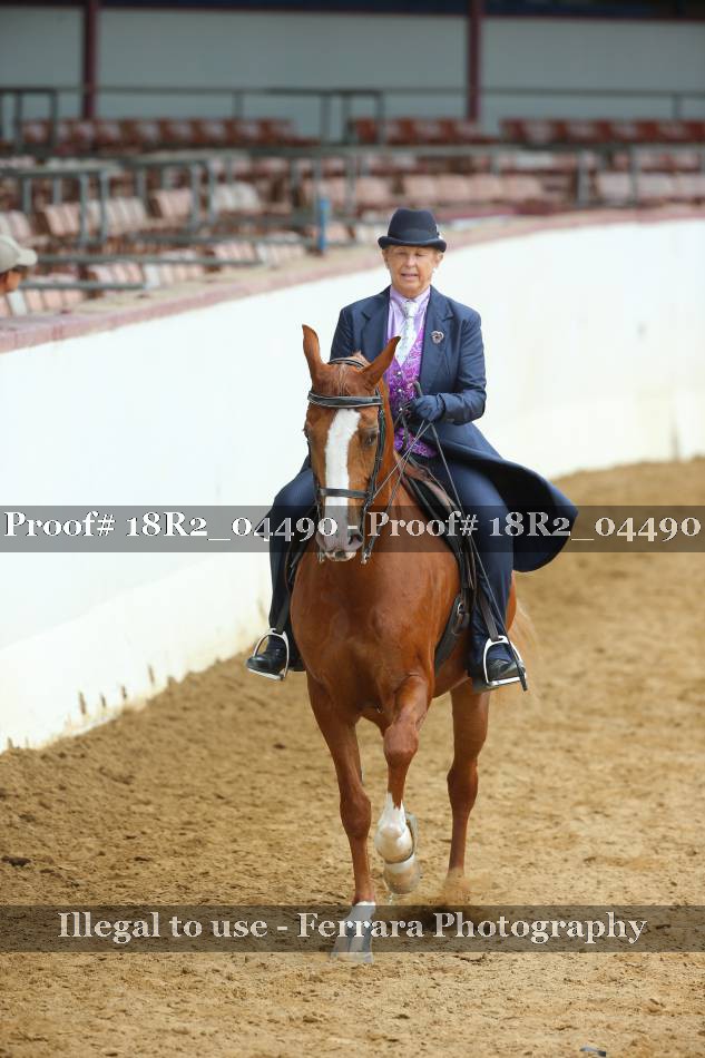 Proof 18R2_04490