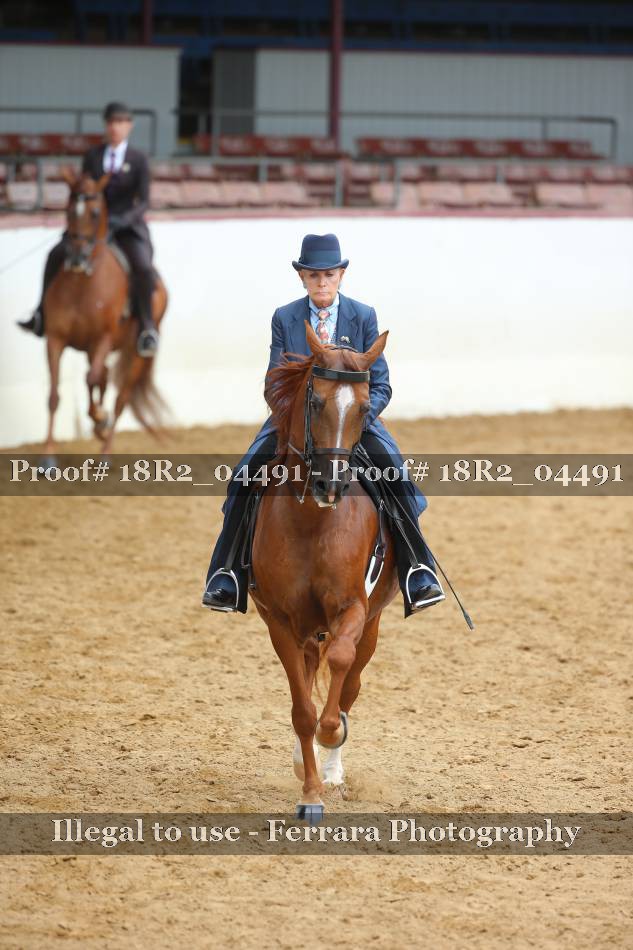 Proof 18R2_04491
