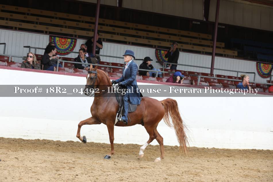 Proof 18R2_04492