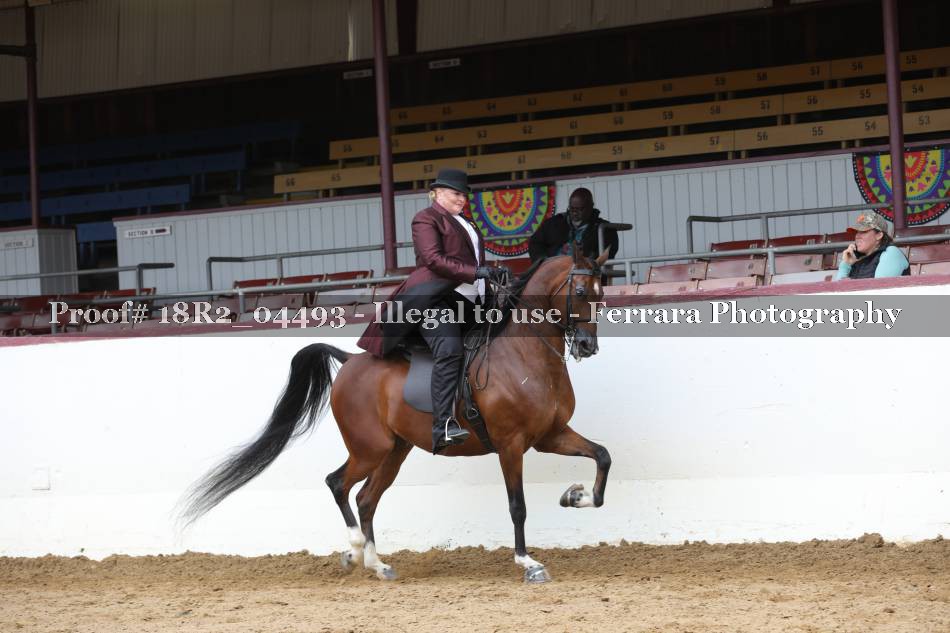 Proof 18R2_04493