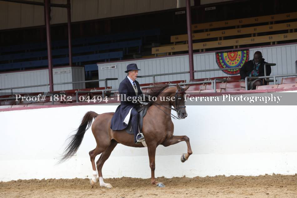 Proof 18R2_04494