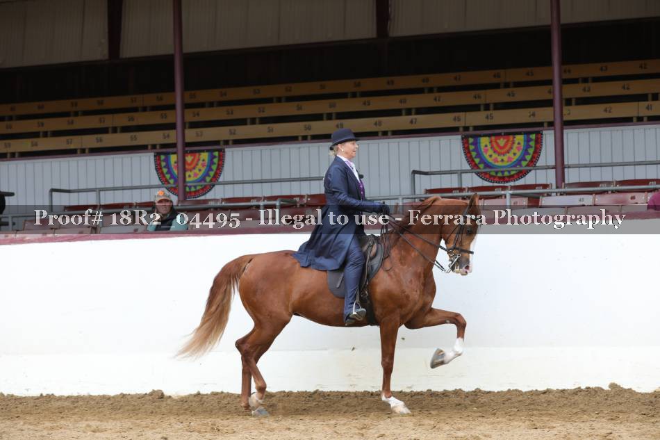 Proof 18R2_04495