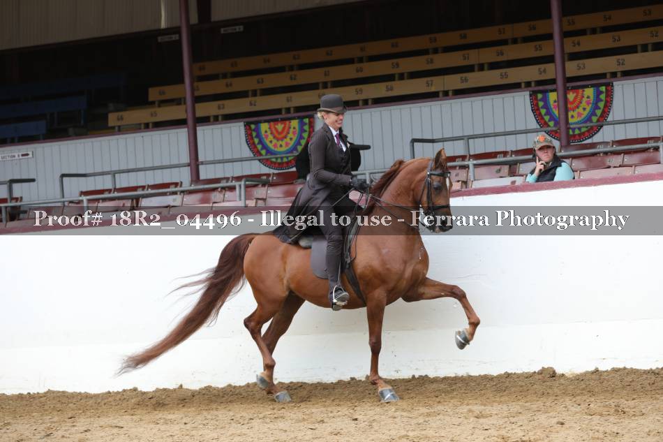 Proof 18R2_04496