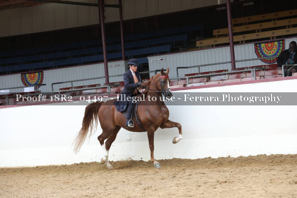 Proof 18R2_04497