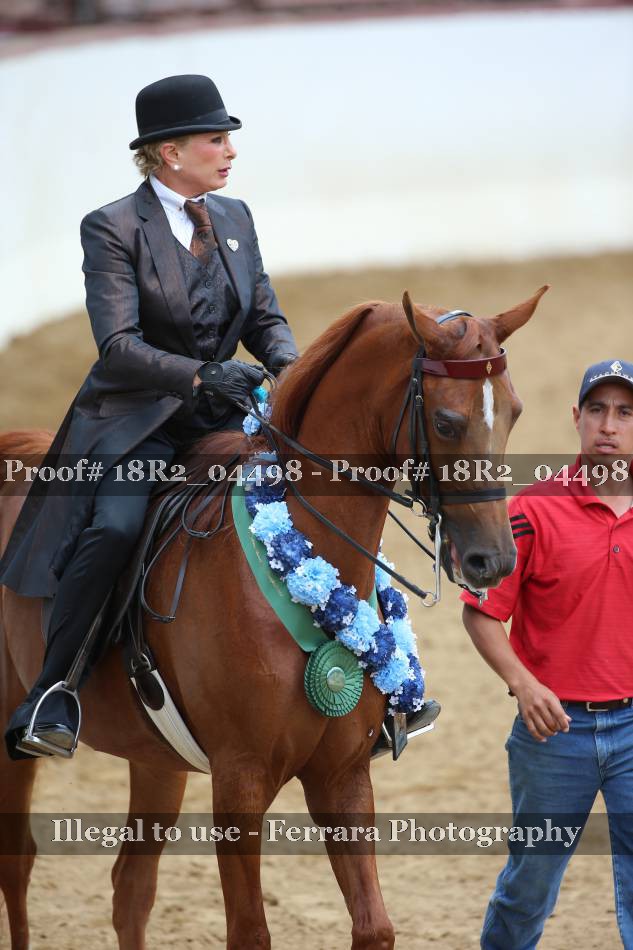 Proof 18R2_04498