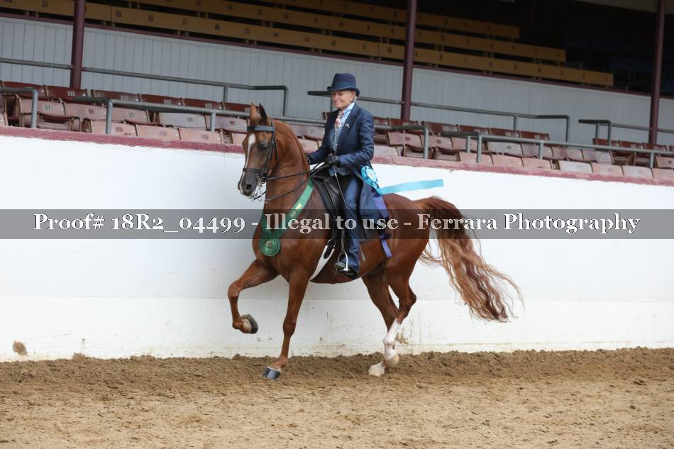 Proof 18R2_04499