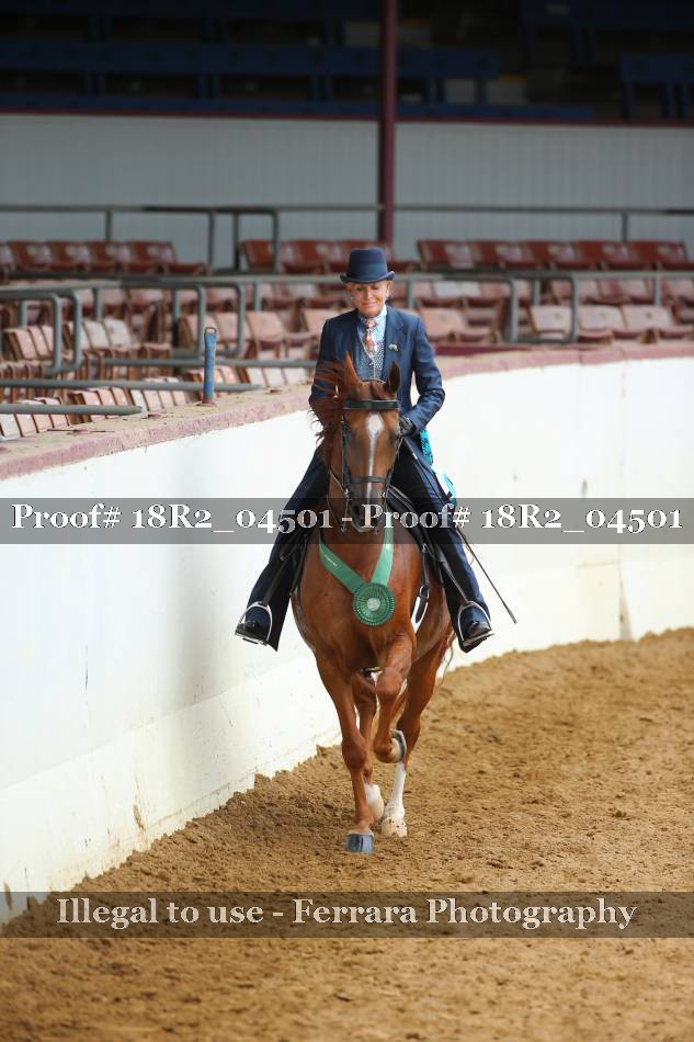 Proof 18R2_04501