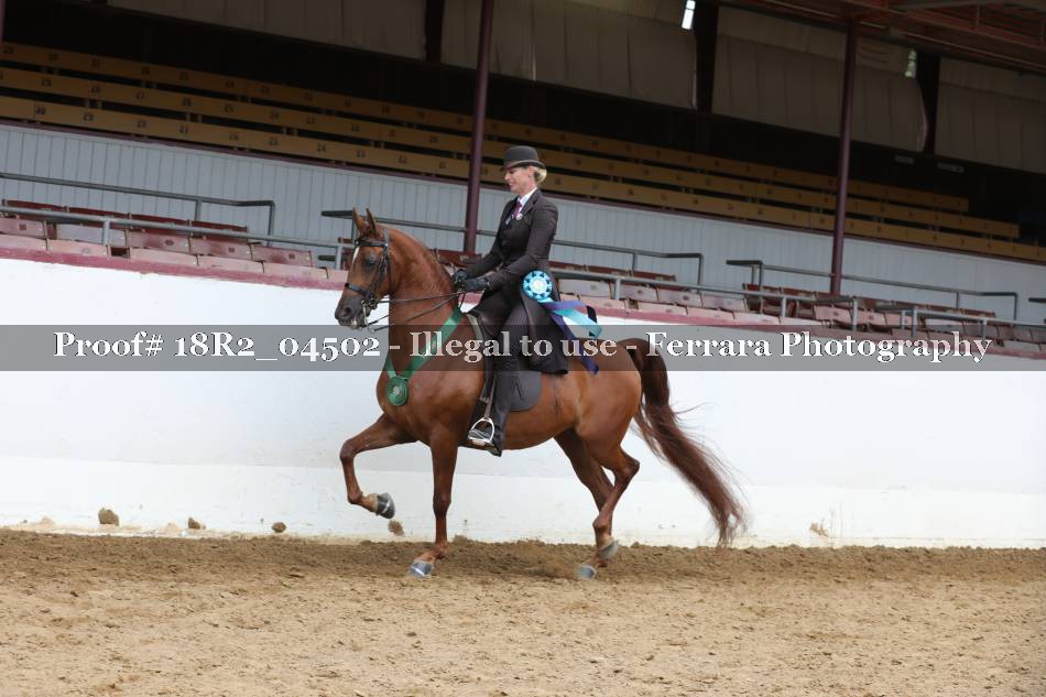 Proof 18R2_04502