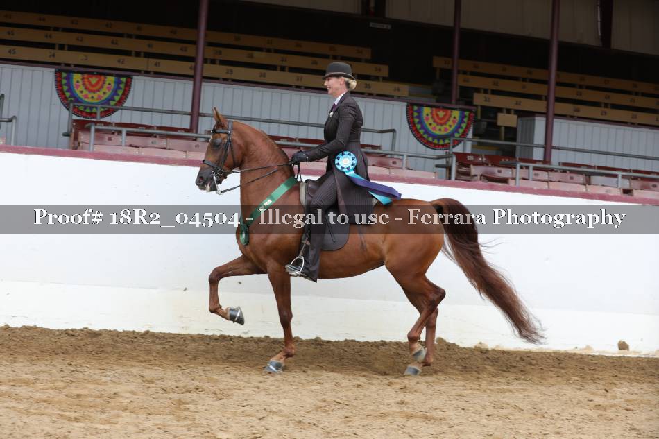 Proof 18R2_04504