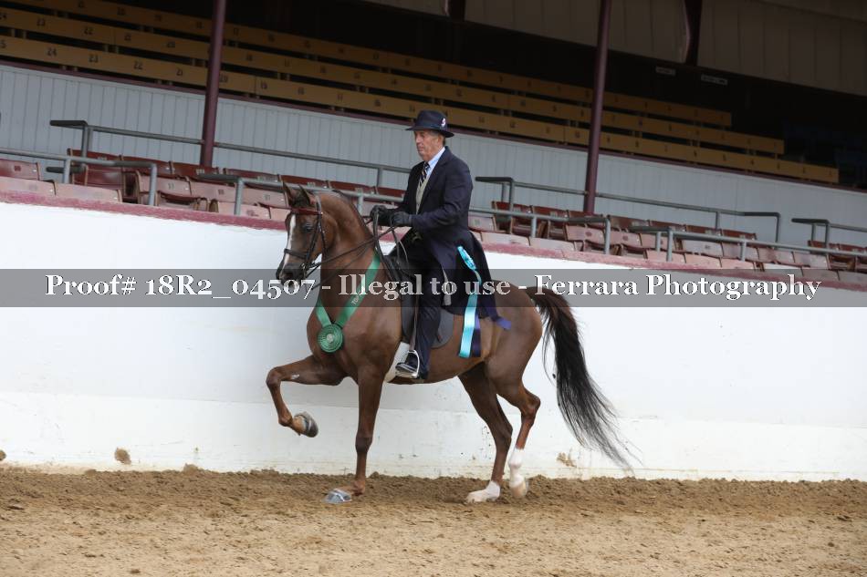 Proof 18R2_04507