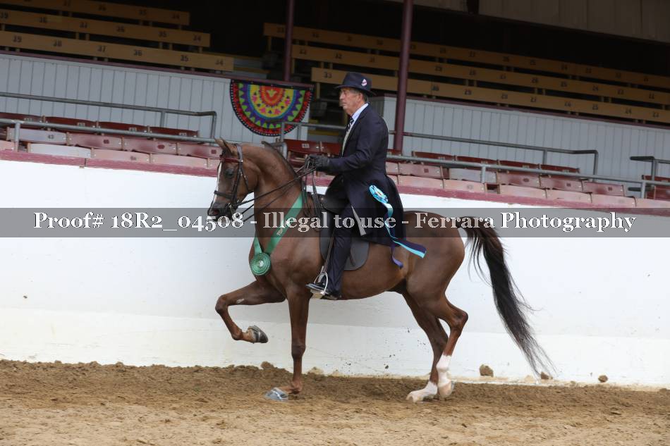 Proof 18R2_04508