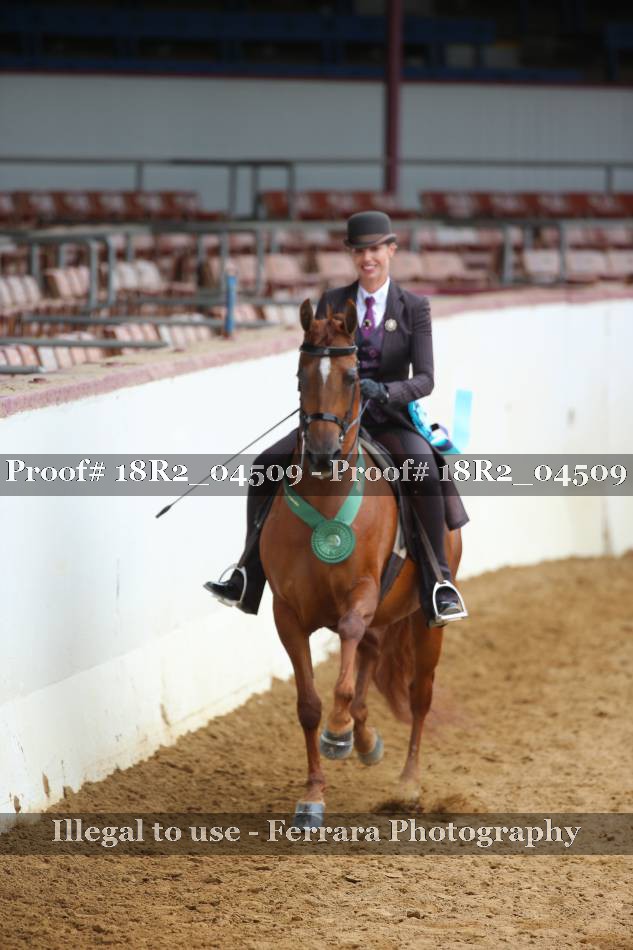 Proof 18R2_04509
