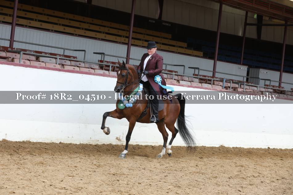 Proof 18R2_04510