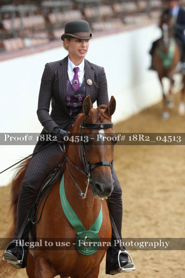 Proof 18R2_04513