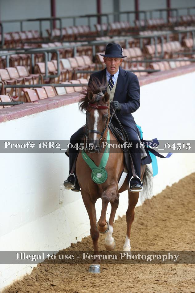 Proof 18R2_04515