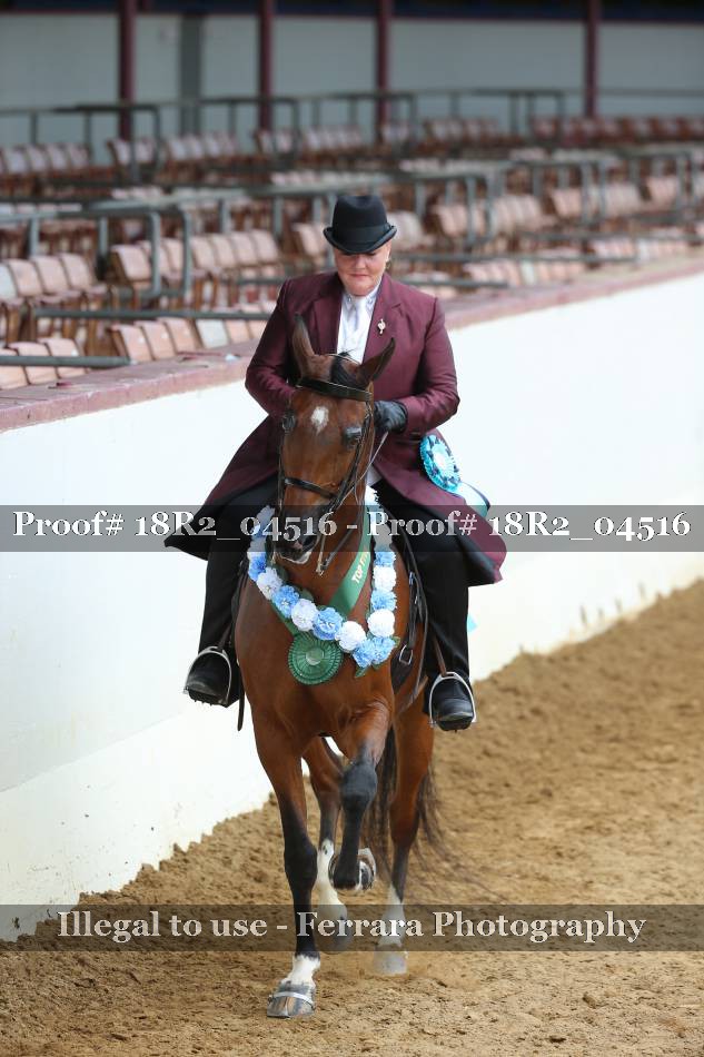 Proof 18R2_04516