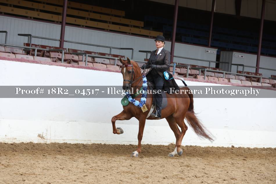 Proof 18R2_04517