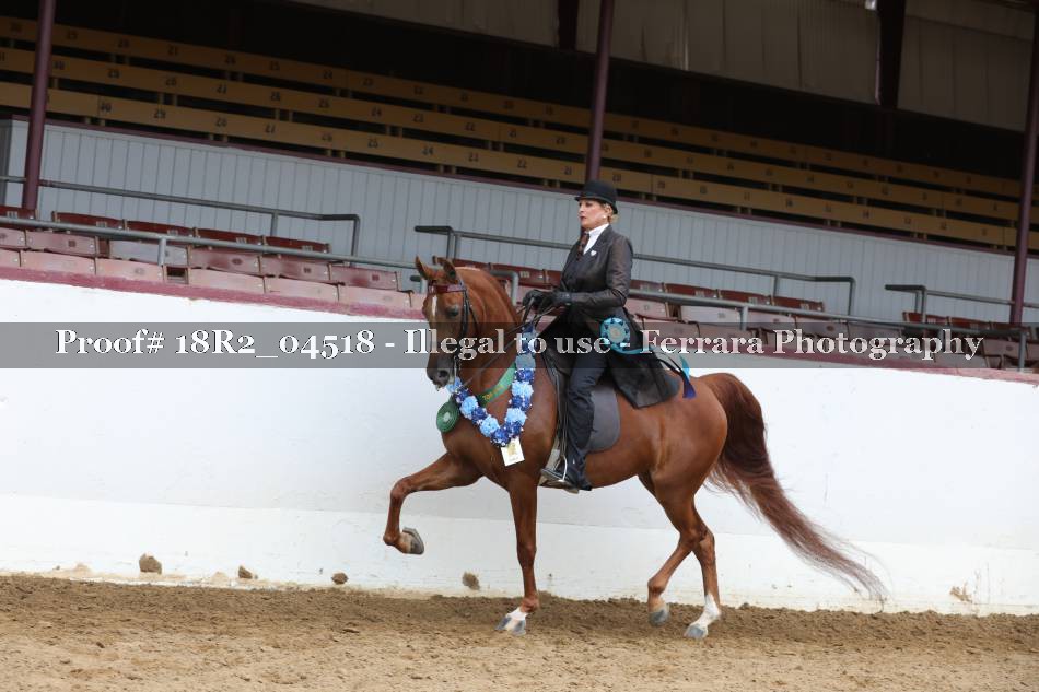 Proof 18R2_04518