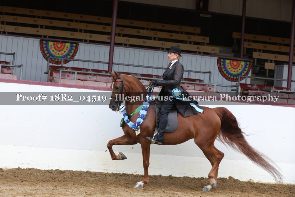Proof 18R2_04519