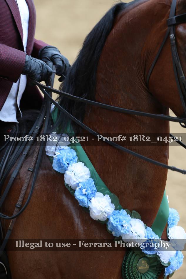 Proof 18R2_04521