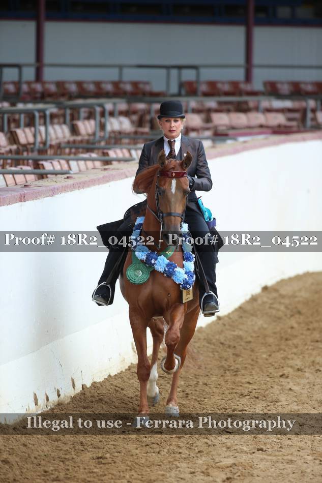 Proof 18R2_04522