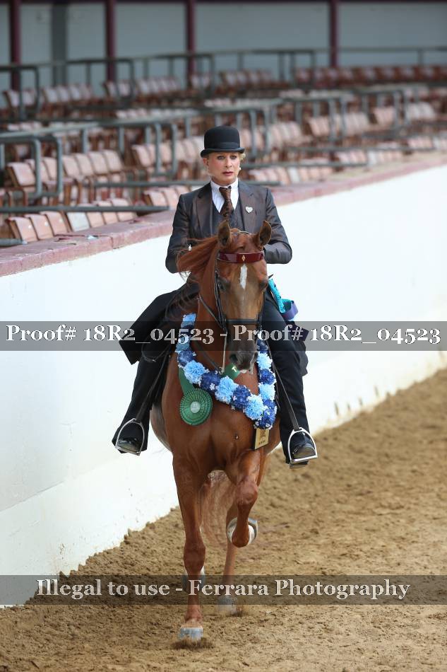 Proof 18R2_04523