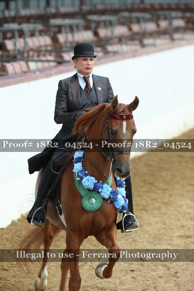 Proof 18R2_04524