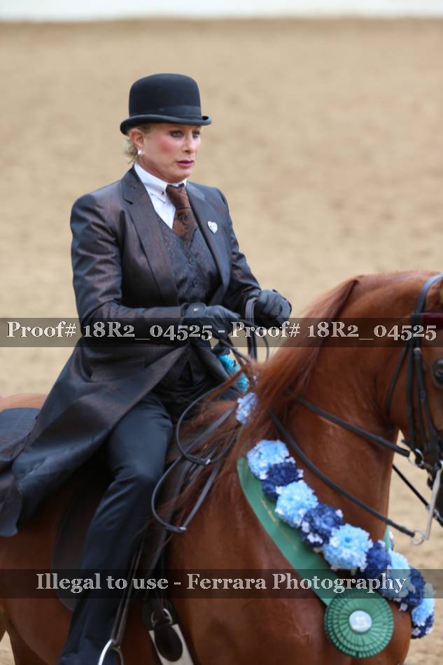 Proof 18R2_04525