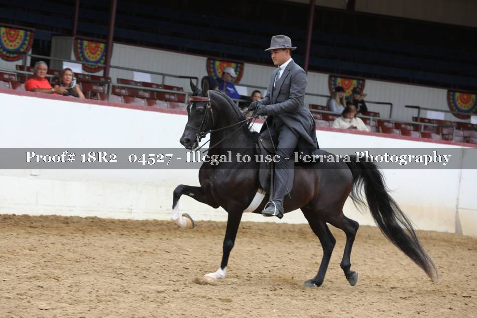 Proof 18R2_04527