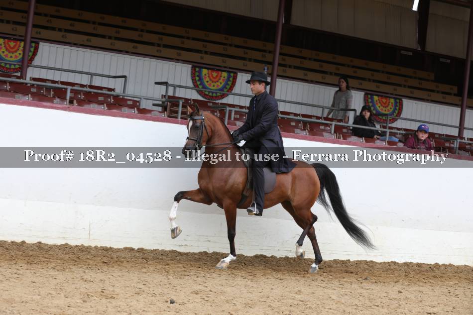 Proof 18R2_04528