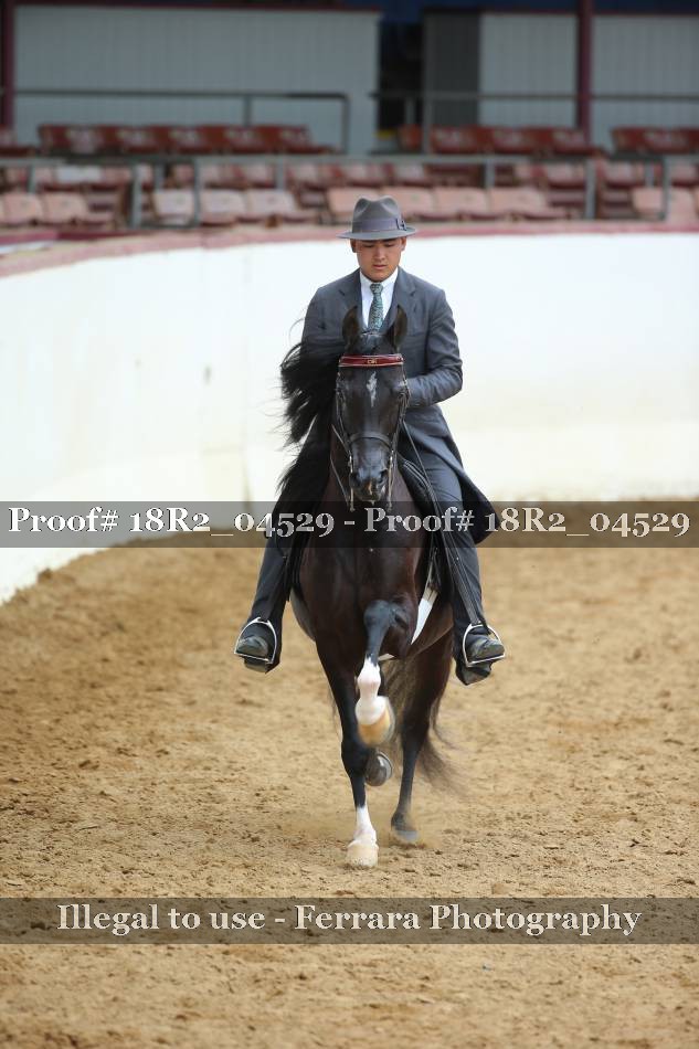 Proof 18R2_04529