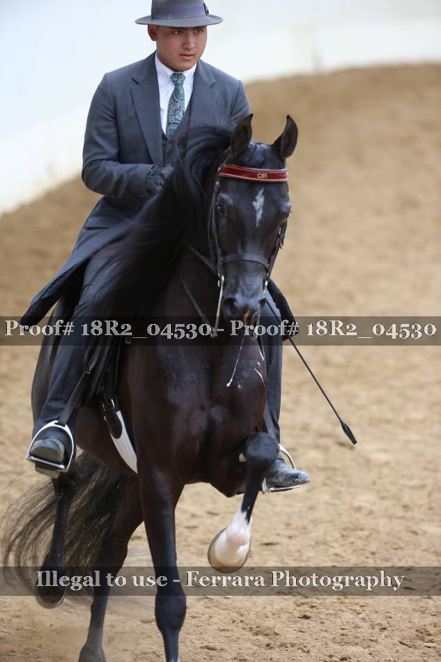 Proof 18R2_04530