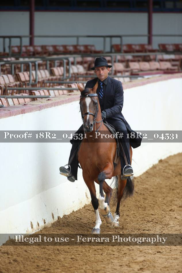 Proof 18R2_04531