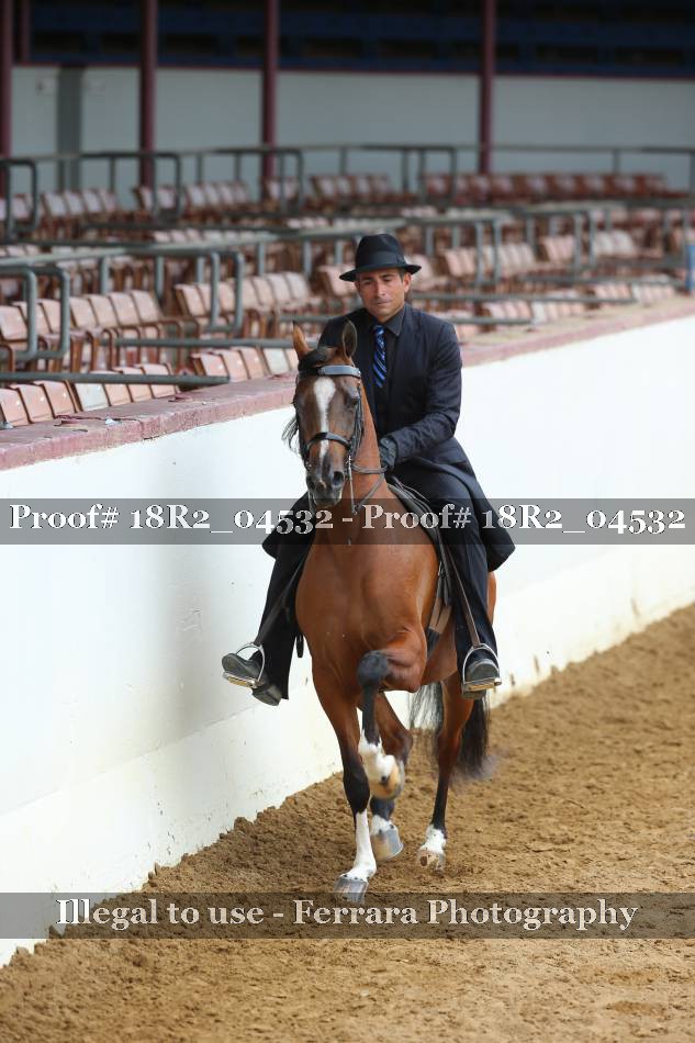 Proof 18R2_04532