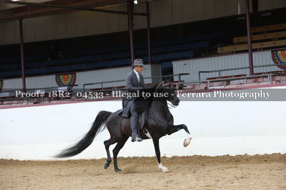 Proof 18R2_04533