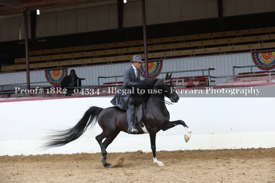 Proof 18R2_04534