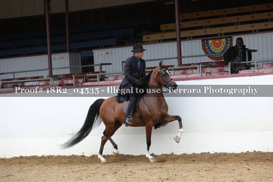Proof 18R2_04535