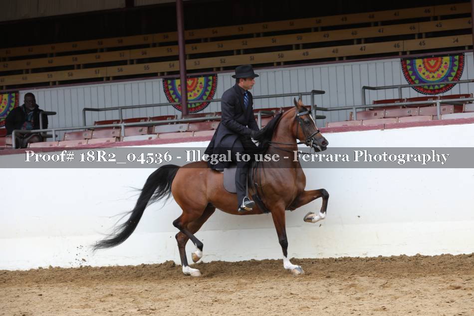 Proof 18R2_04536