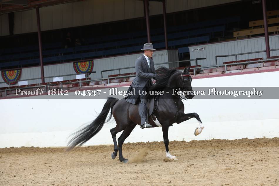 Proof 18R2_04537