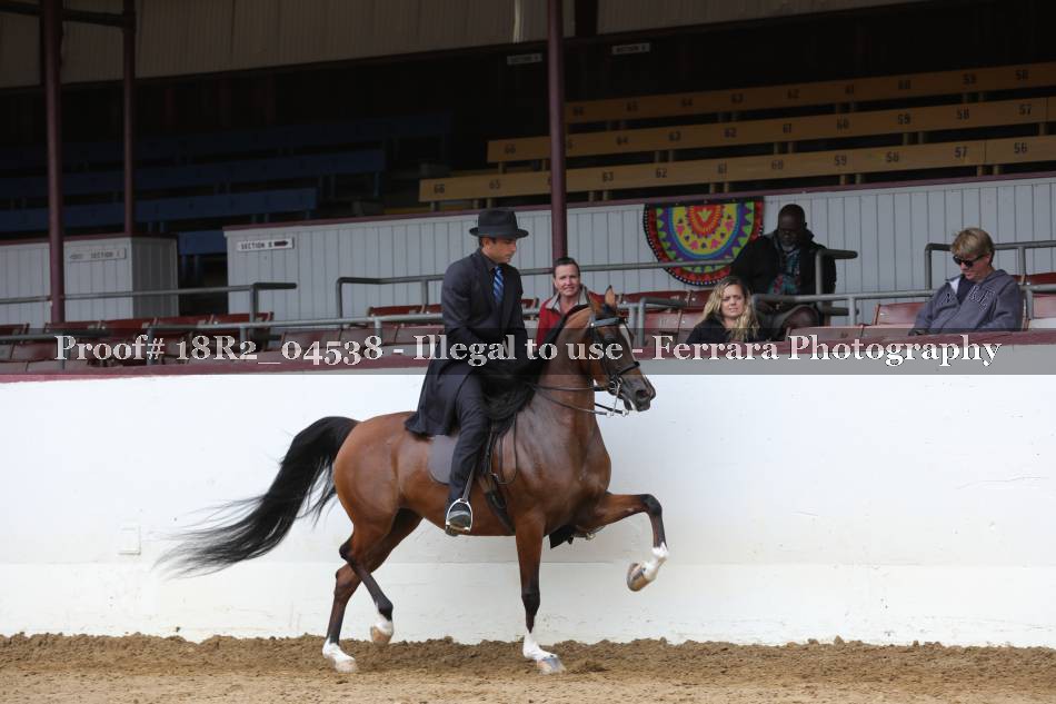 Proof 18R2_04538