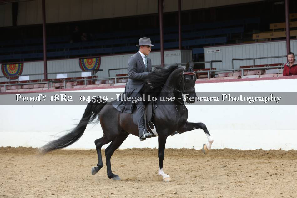 Proof 18R2_04539