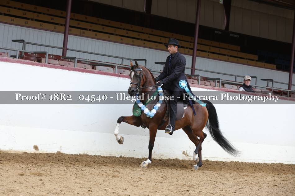Proof 18R2_04540