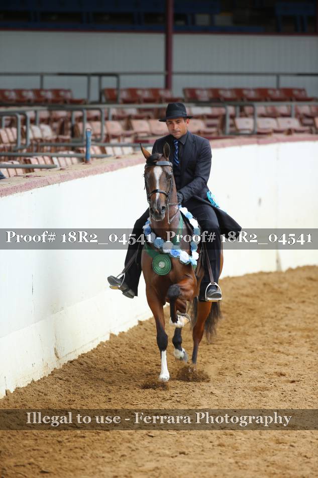 Proof 18R2_04541