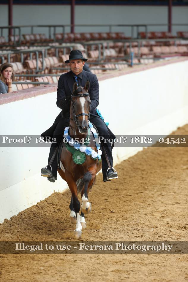 Proof 18R2_04542