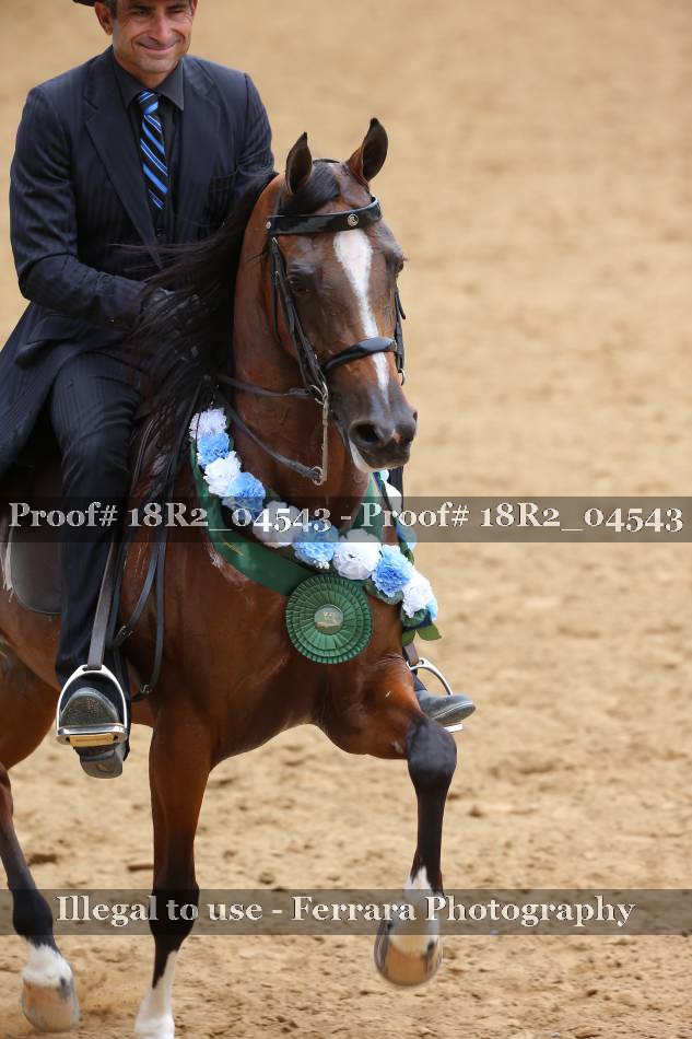 Proof 18R2_04543