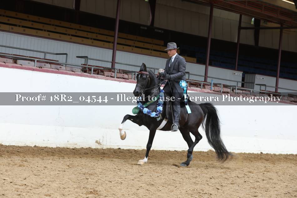 Proof 18R2_04544